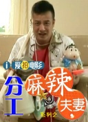 DVD高清完整版