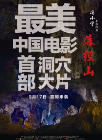 高清蓝光在线观看