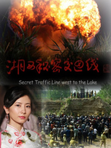 BD高清免费观看